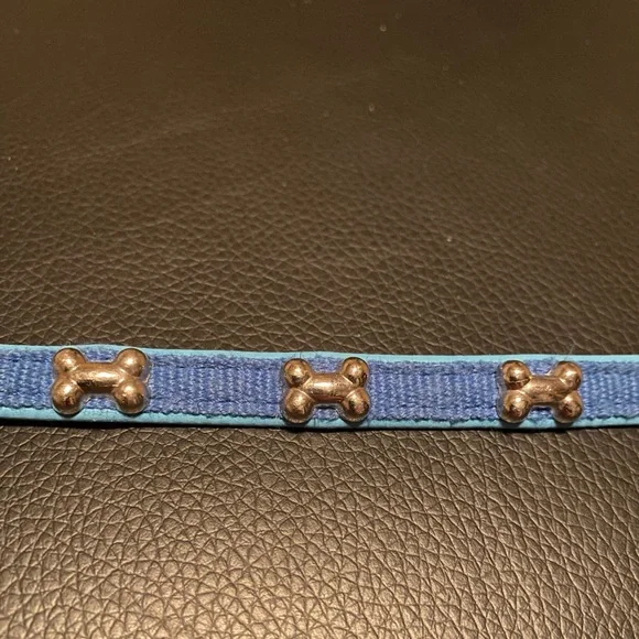 XS Stylish Blue Dog Collar with Bone Accents - Picture 2 of 2